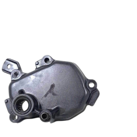 Tampa Eixo Pedal Câmbio Honda Cb1000 R Ano 2012 Original