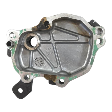 Tampa Eixo Pedal Câmbio Honda Cb1000 R Ano 2012 Original