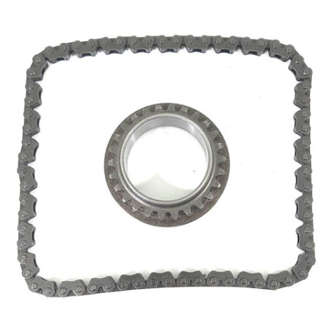 Engrenagem E Corrente Bomba Óleo Honda Cb1000 2012 Original