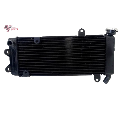 Radiador Água Kawasaki Modelo Versys 650 Ano 2021 Original