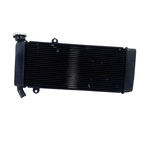 Radiador Água Kawasaki Modelo Versys 650 Ano 2021 Original