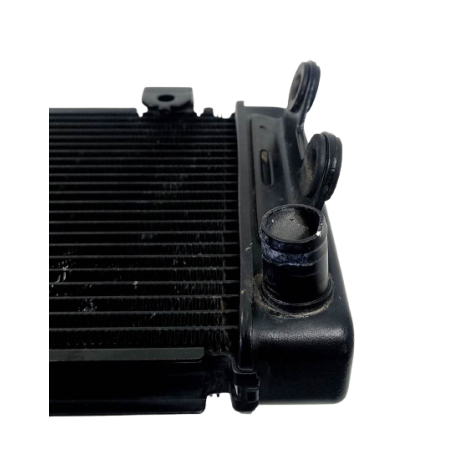 Radiador Água Kawasaki Modelo Versys 650 Ano 2021 Original
