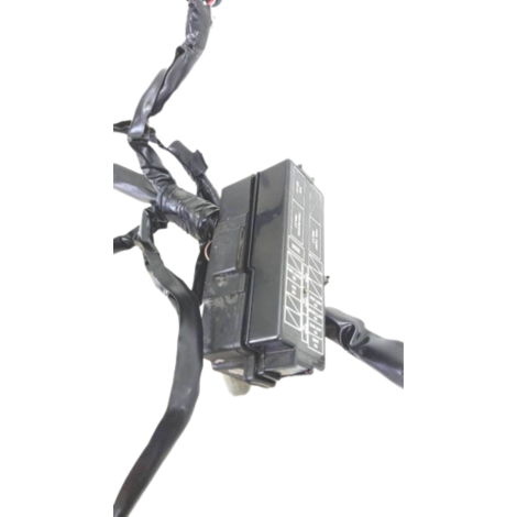 Chicote Principal Honda Cb1000 R Ano 2012 Original AVARIA 