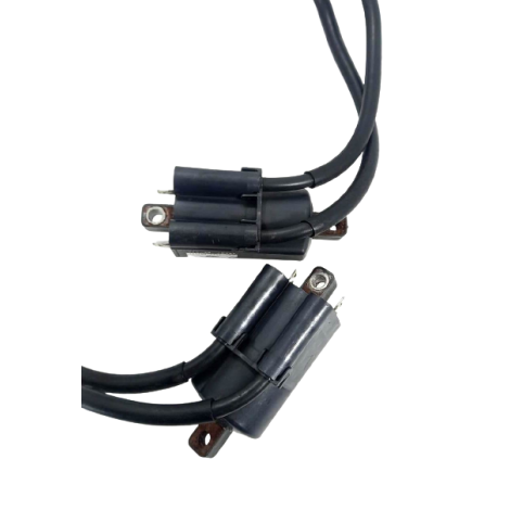 Bobina Ignição Marca Yamaha Modelo XJ6 F Ano 2010 Original