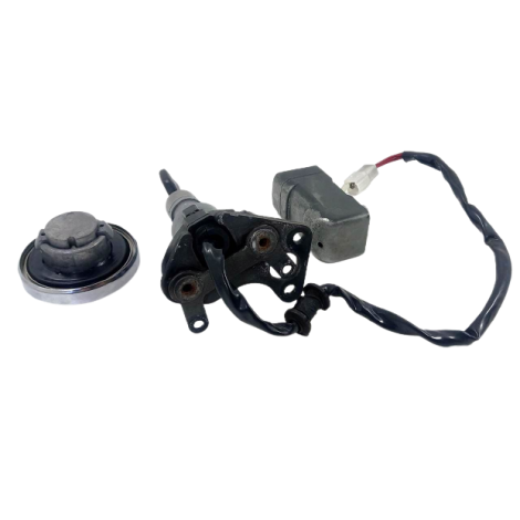 Kit Ignição Marca Honda Modelo Shadow 750 Ano 2010 Original