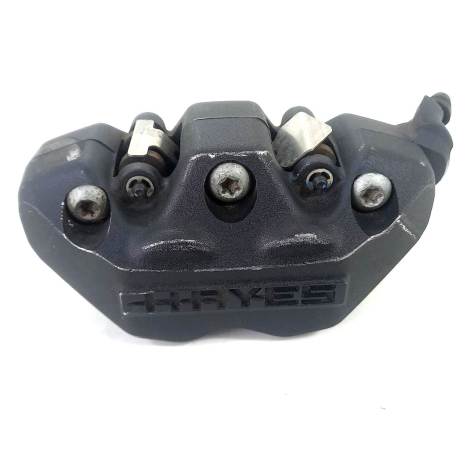 Pinça Dianteira Esquerda Bmw R1250 GS Ano 2022 Original