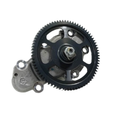 Bomba Óleo Marca Bmw Modelo R1250 GS Ano 2022 Original