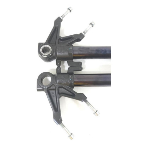 Par Bengalas Marca Ducati Modelo 1198 Ano 2011 Original