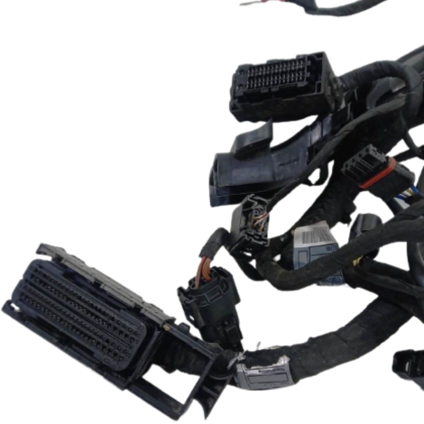 Chicote Principal Bmw Modelo R1250 GS Ano 2022 Original