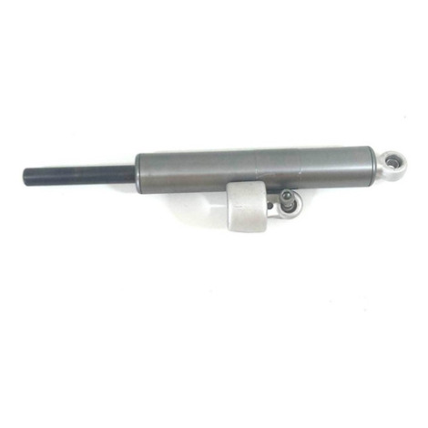 Amortecedor De Direção Ducati 1198 Ano 2009 A 2011 Original