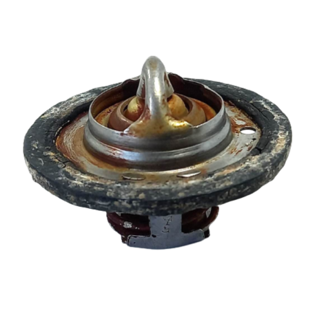 Válvula Termostática Triumph Tiger 800 Ano 2014 Original