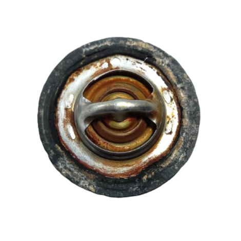 Válvula Termostática Triumph Tiger 800 Ano 2014 Original