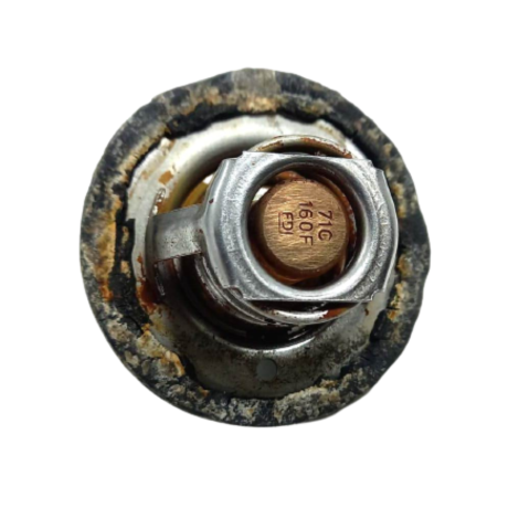 Válvula Termostática Triumph Tiger 800 Ano 2014 Original