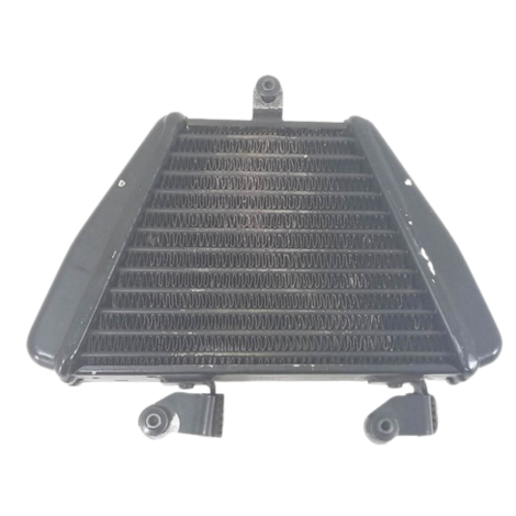 Radiador Óleo Ducati Modelo 1198 Ano 2009 A 2011 Original