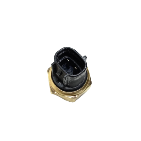 Sensor Temperatura Água Suzuki Srad 750 Ano 2006 Original