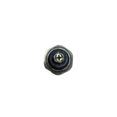 Sensor Cebolinha Óleo Kawasaki Ninja 400 2020 Original (012)