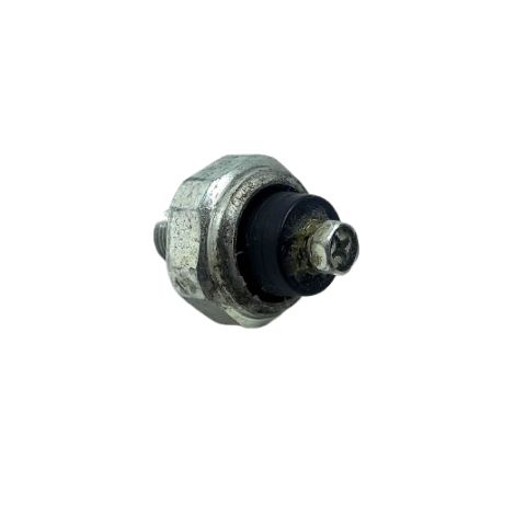Sensor Cebolinha Óleo Kawasaki Ninja 400 2020 Original (012)