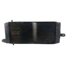 Radiador Água Honda Shadow 750 Ano 2006 Original (015)    