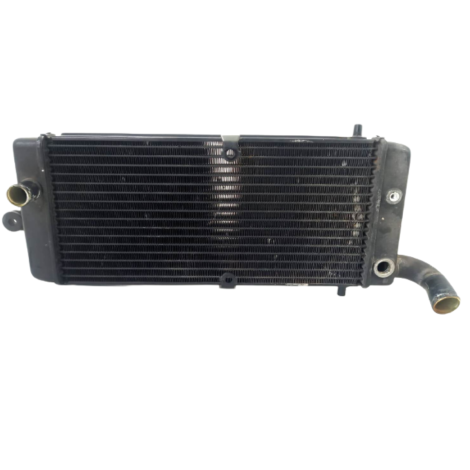 Radiador Água Honda Shadow 750 Ano 2006 Original (015)