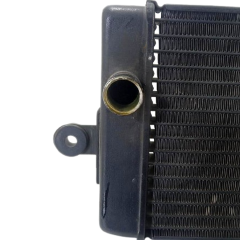 Radiador Água Honda Shadow 750 Ano 2006 Original (015)