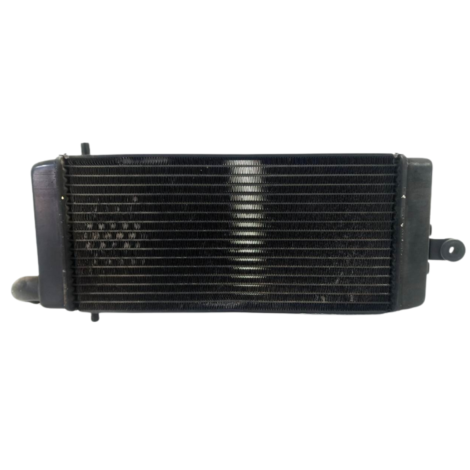 Radiador Água Honda Shadow 750 Ano 2006 Original (015)