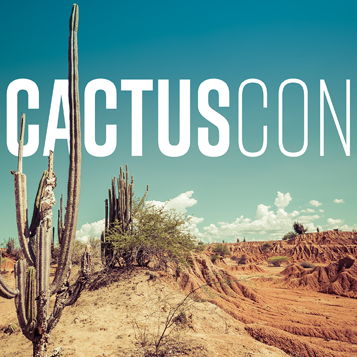 Desert scene with cactus