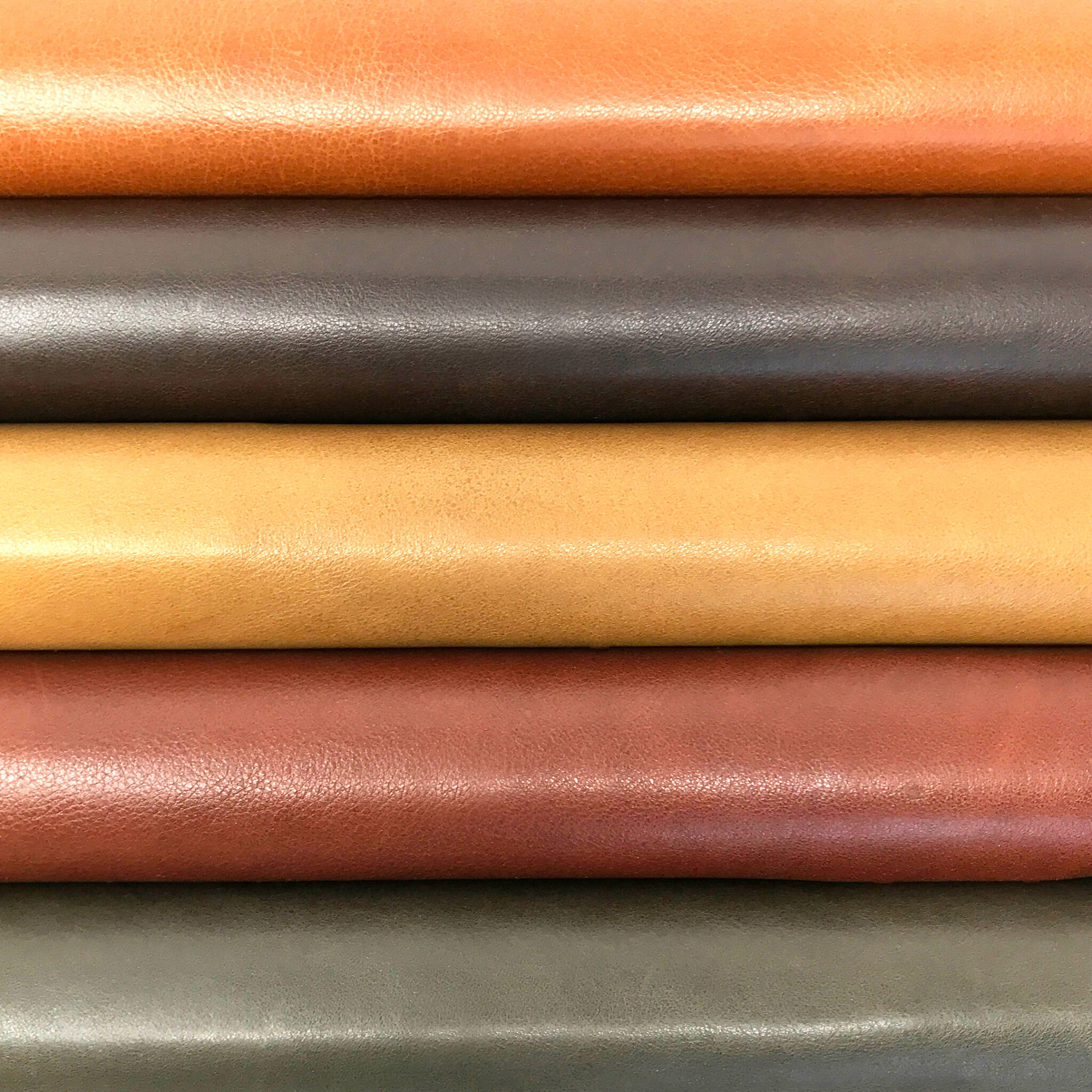 Leathers Cortina Leathers