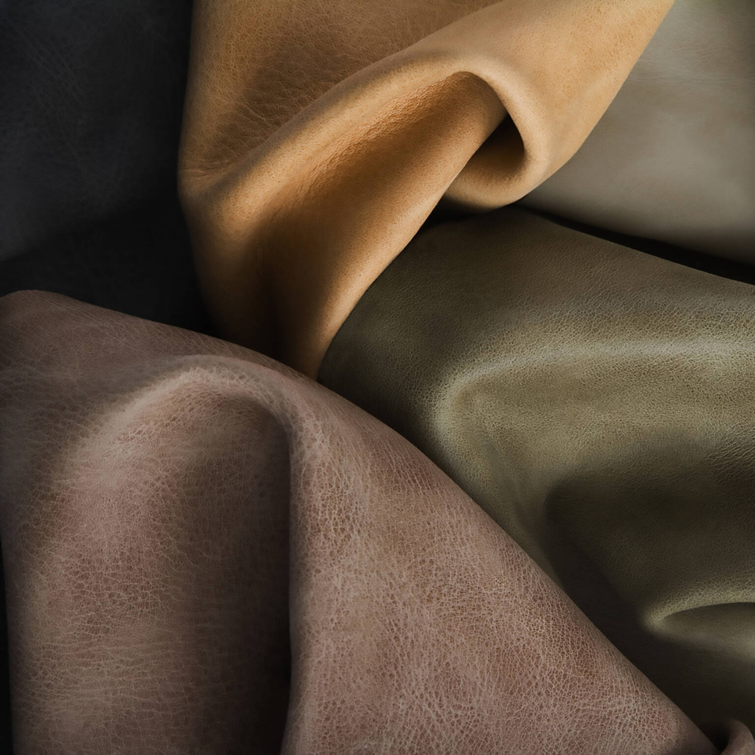 Leathers Cortina Leathers