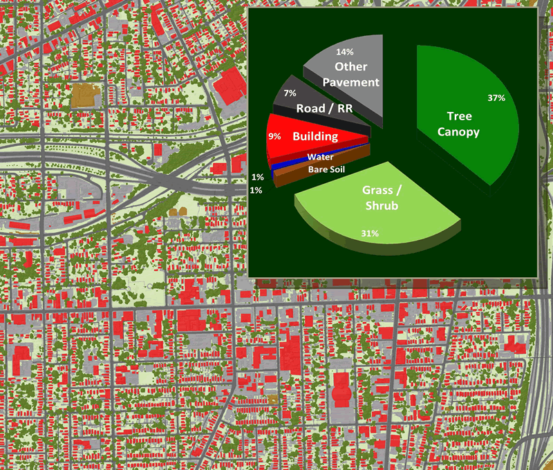 Tree Canopy Land Cover Pie Chart