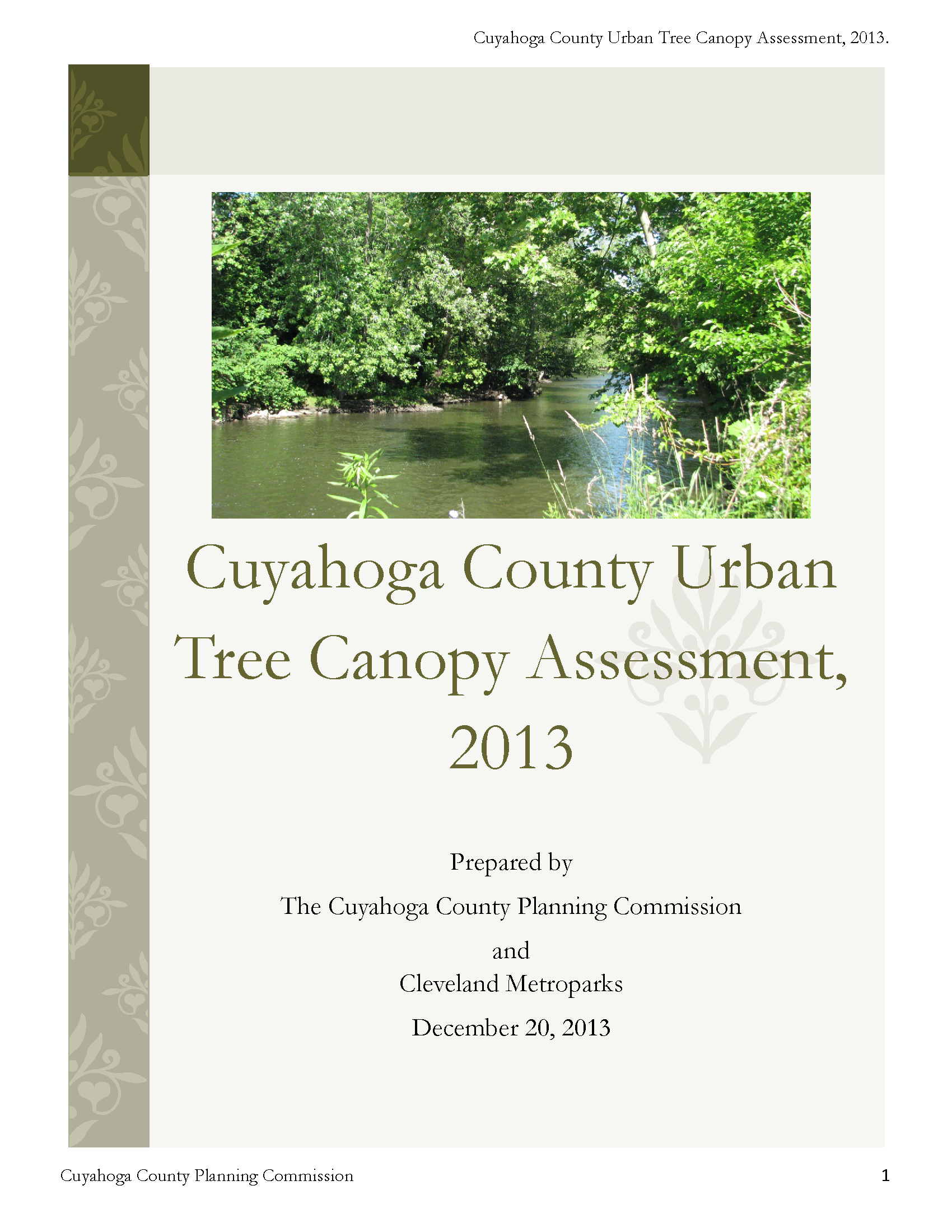 Tree Canopy Assessment Report (PDF)
