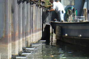 Photo pf green bulkheads installation