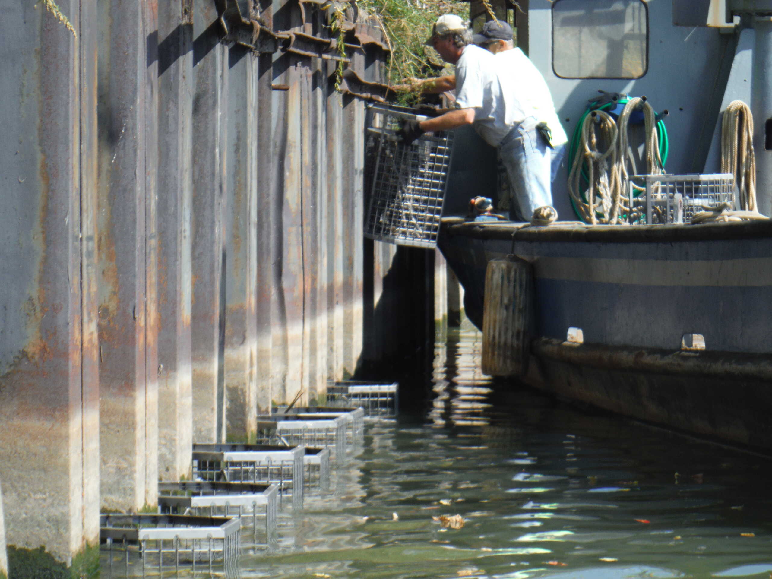 Photo pf green bulkheads installation