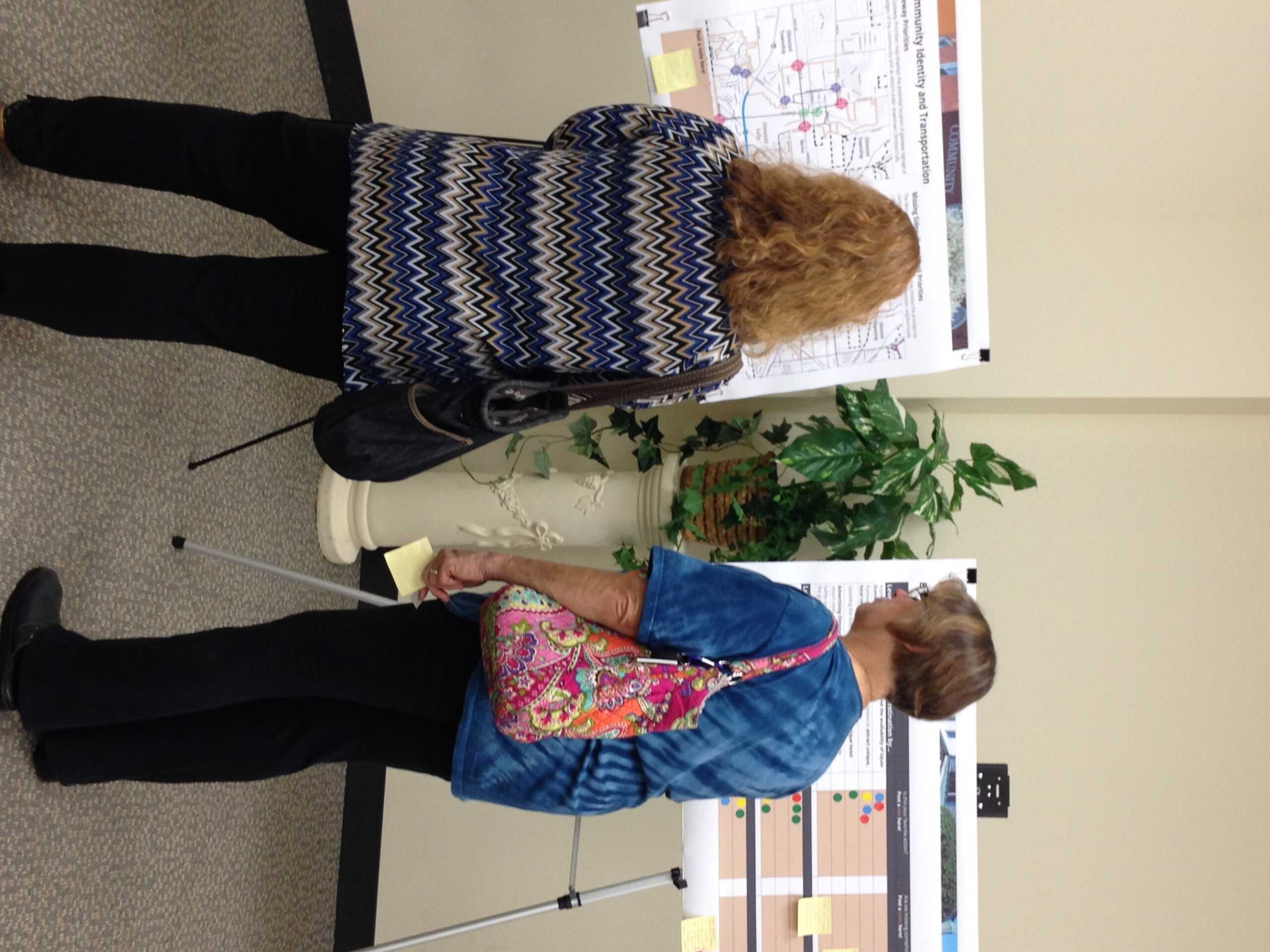 Olmsted Fall public meeting