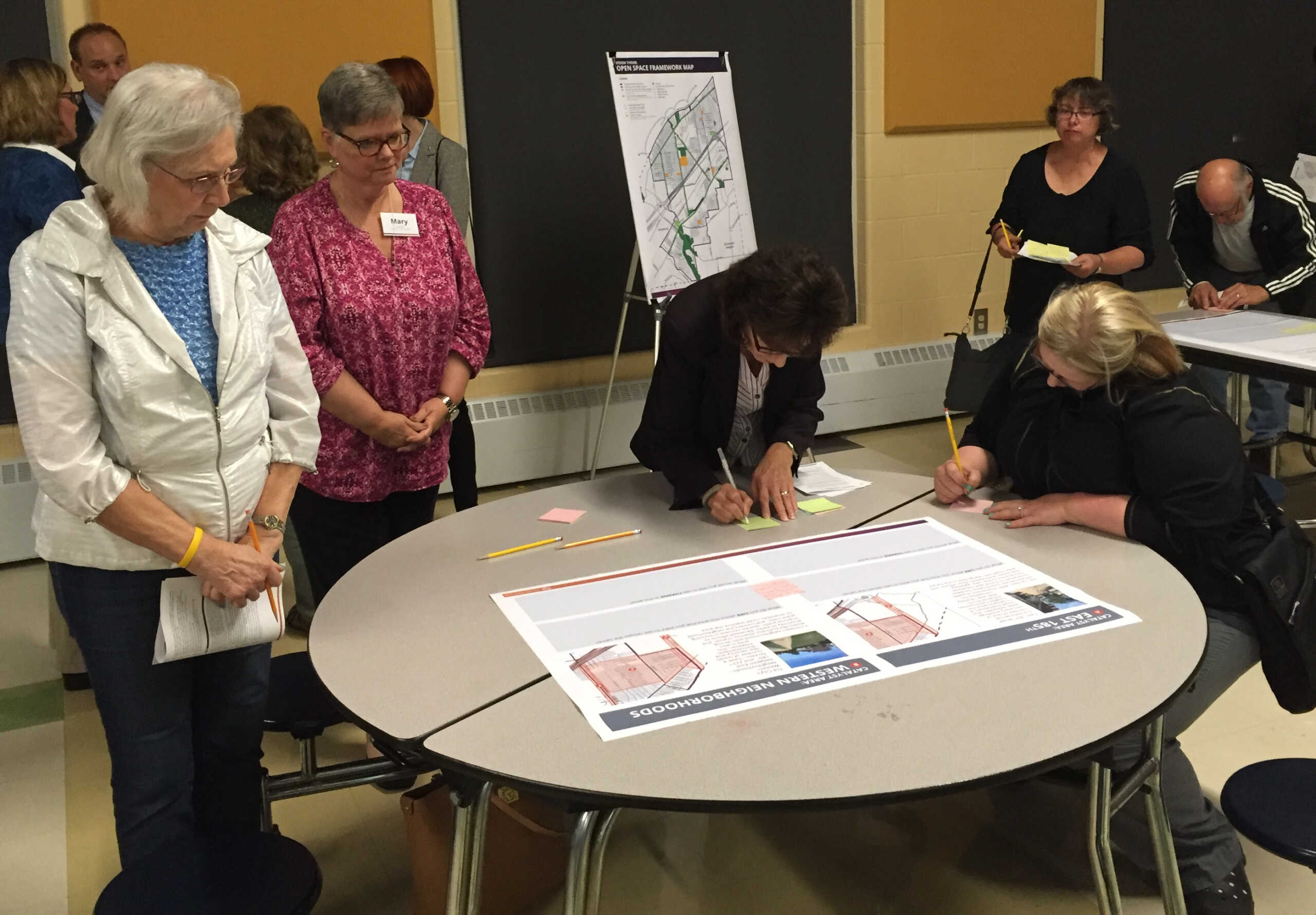 Public meeting participants