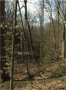 Cleveland Metroparks photo