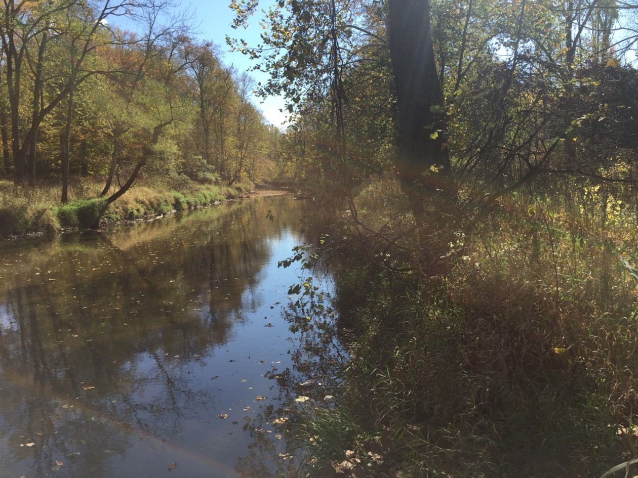 Tinker’s Creek Preserve II