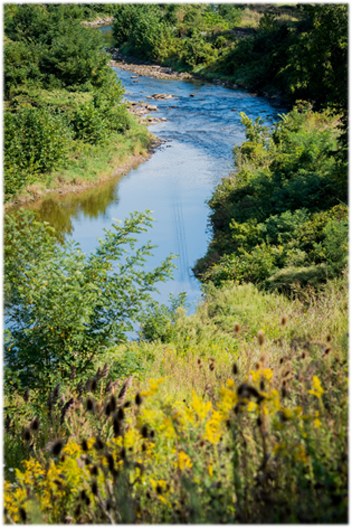 photo of Tinkers Creek