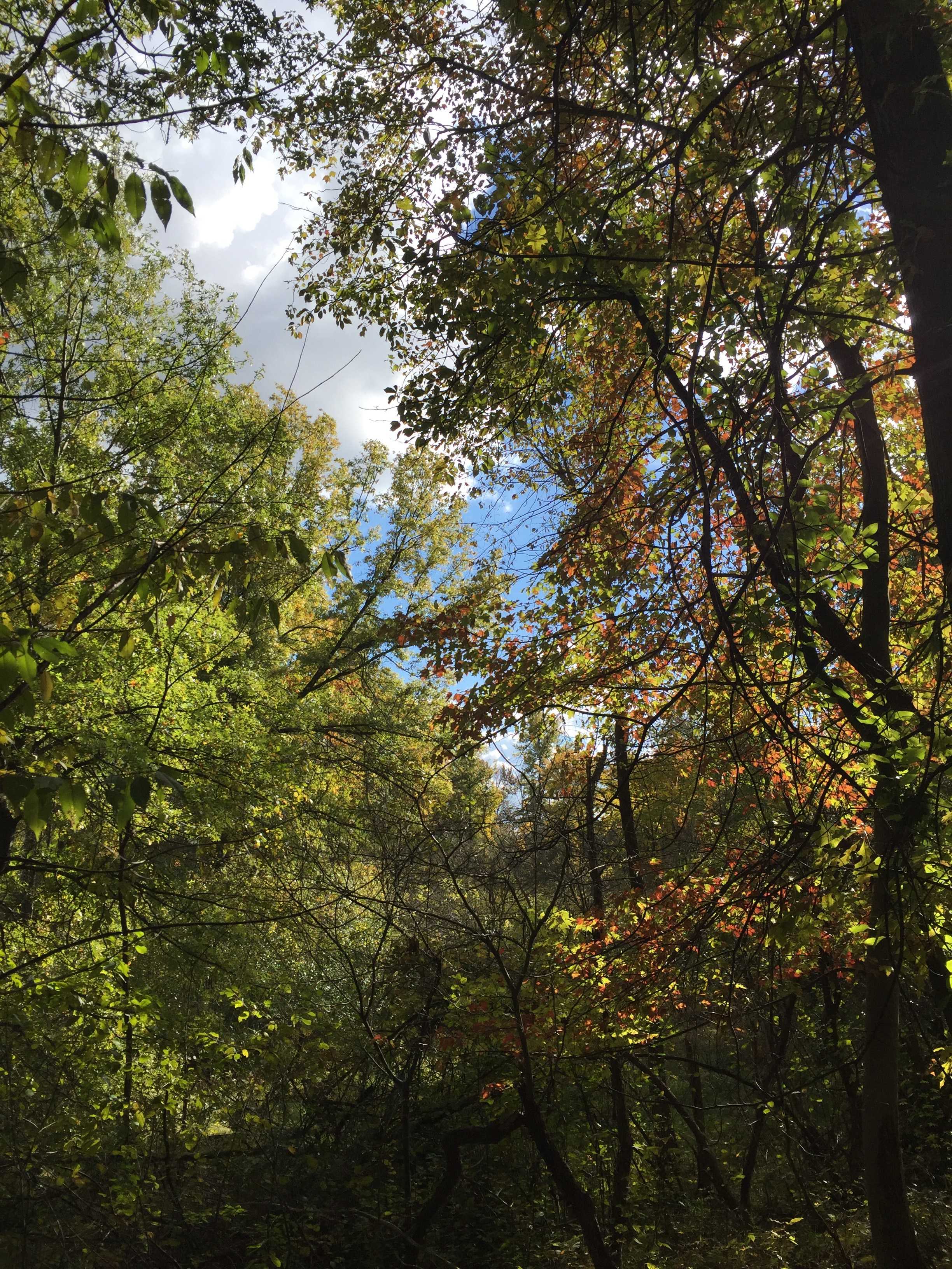 2018 NRAC site visit 6