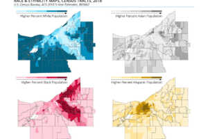 Race and ethnicity maps
