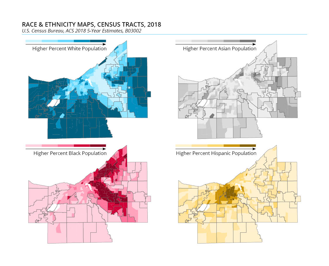 Race and ethnicity maps