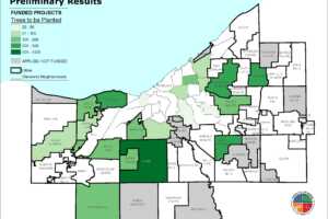 Preliminary map of 2021 Healthy Urban Tree Canopy Grant Program awards