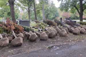 trees waiting to be planted at Lake View Cemetery