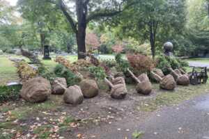 trees waiting to be planted at Lake View Cemetery
