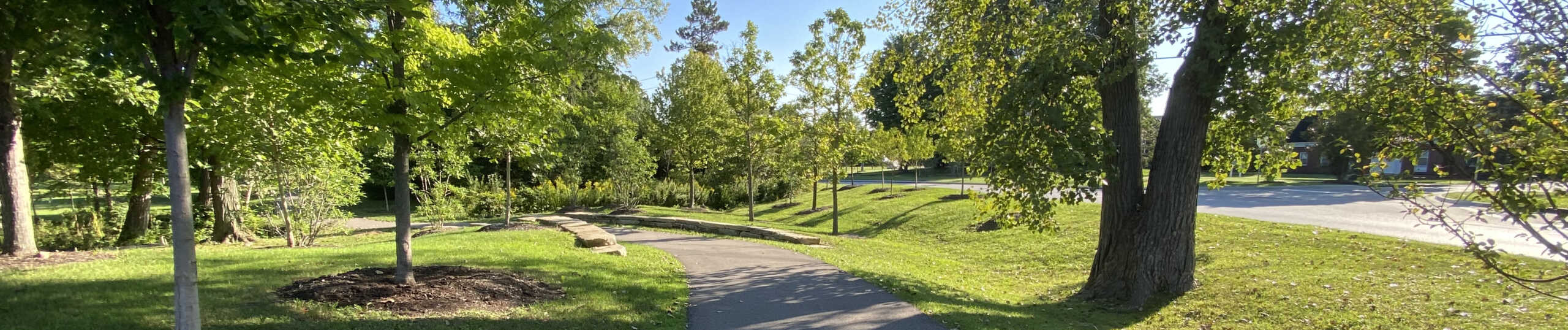 a trail winds through Pepper Pike