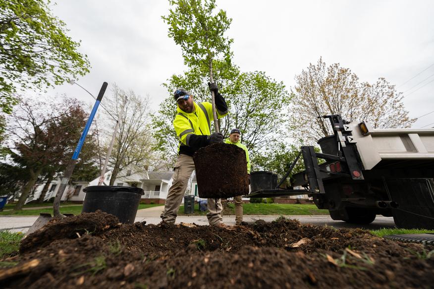 Brooklyn Tree Planting - May 2022