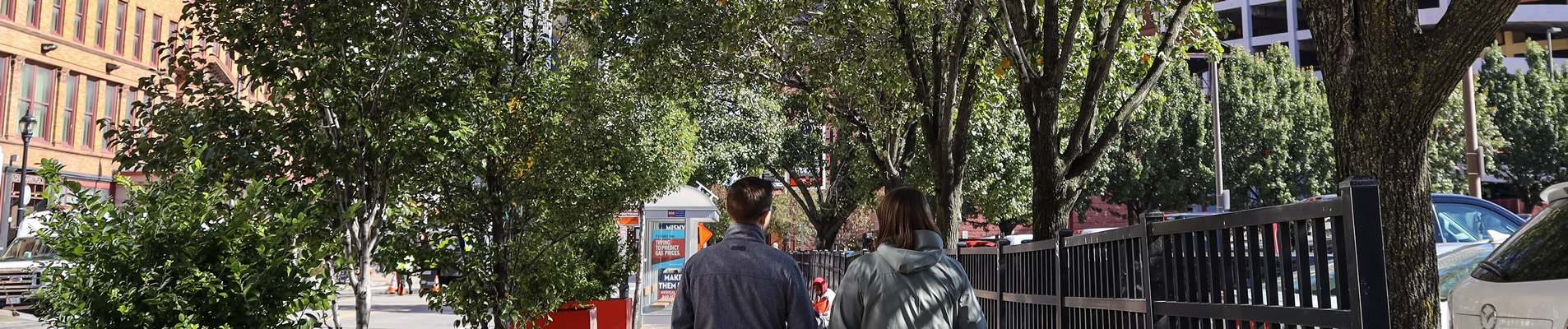 Downtown Cleveland tree canopy