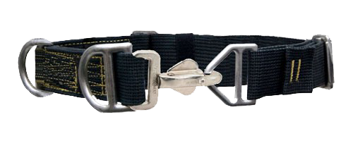 Lakota-Belt_Web_500
