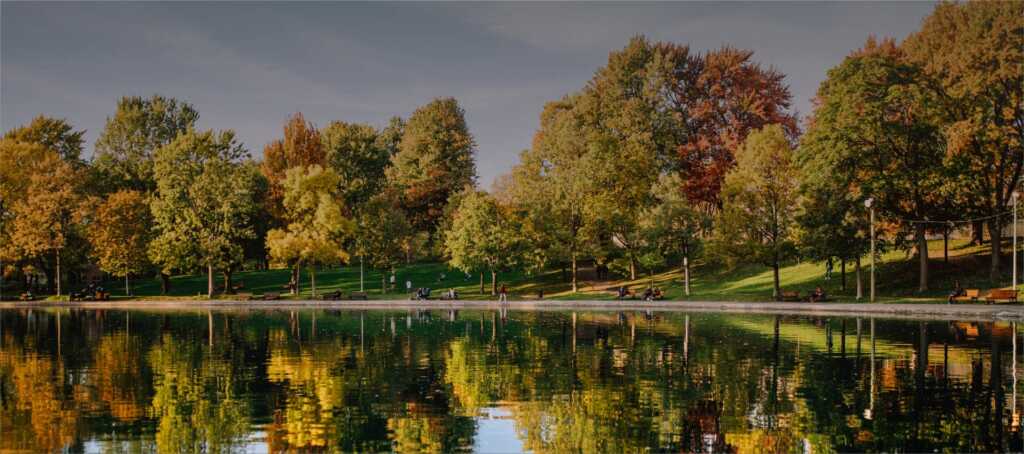 Lake and park landscape