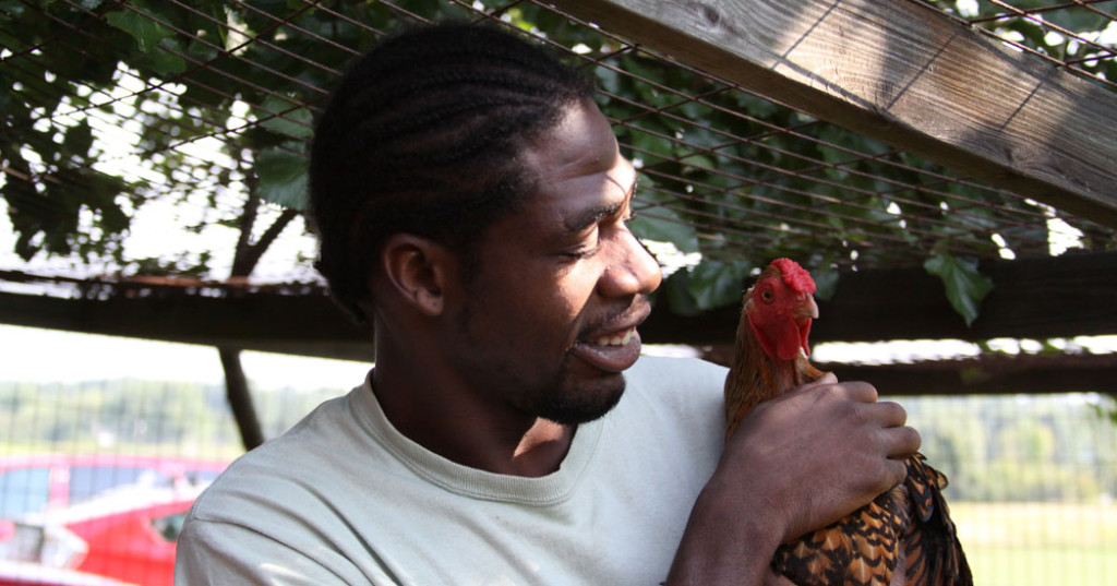 2013-2015 Summit DD Long-Range Plan