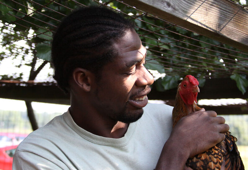 2013-2015 Summit DD Long-Range Plan